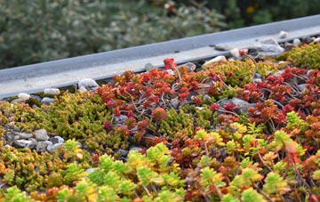 the cost of Meliden green roof installation