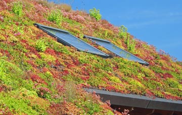 Meliden living roof systems