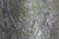 Meliden fibreglass roof work